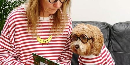 You can now get a Where’s Wally book with your dog in it