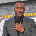 A newly discovered wasp has been named after Idris Elba