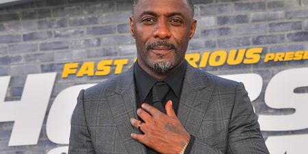A newly discovered wasp has been named after Idris Elba