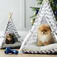 Pet teepees are now a thing, and we’ve never needed anything more in our lives