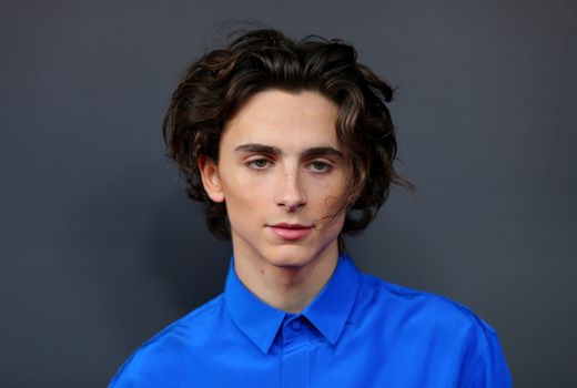 Timothée Chalamet named the best-dressed man in the world, The Independent