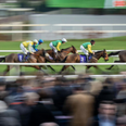 Jargon quiz: Can you guess what these horse racing terms mean?