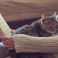 Reading for just six minutes reduces your stress more than pretty much anything else
