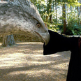 BBC are making a new Harry Potter-themed nature documentary