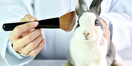 Sale of cosmetics tested on animals banned in California, Nevada, and Illinois
