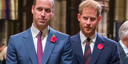Prince Harry and Prince William say ‘offensive’ article about their relationship is ‘false’