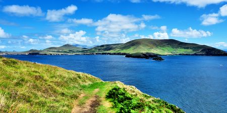 Want to live on a gorgeous Irish island with your best friend for free?