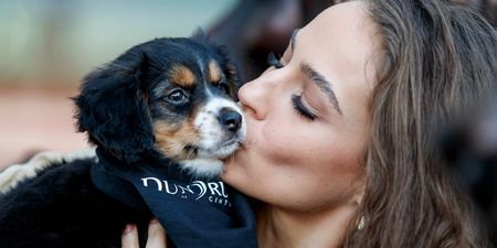 Lonely Paws: There’s a dog match-making event happening in Dublin next week