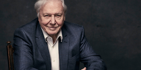 David Attenborough is making another five-part documentary series for the BBC