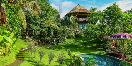You and your mates can stay in this insane tree house in Bali for just €85 a night