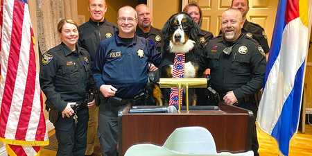 Parker the Snow Dog has been voted the honorary mayor of a town in Colorado and yeah, he’d have our vote