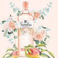 Gordon’s launches a brand new peach gin and HELLO summer