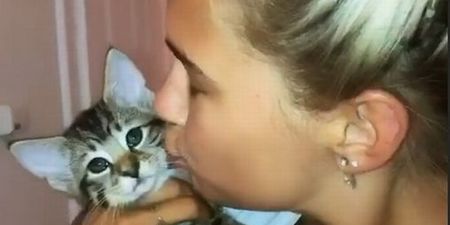 ‘My poor baby’: Molly Mae Hague heartbroken after her cat was hit by a car