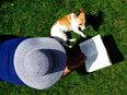 8 online buys under €100 to transform your garden