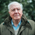 10 iconic Sir David Attenborough quotes to mark his 94th birthday