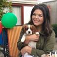 5 reasons why we need more videos of Doireann Garrihy’s new puppy immediately