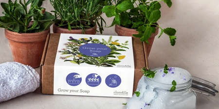 There is an Irish company is selling plants that you can use to grow your own soap