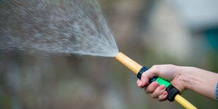 Public urged to take shorter showers as hosepipe ban introduced in Ireland