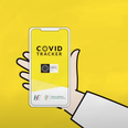 The new Covid-19 tracker app is live – here’s how to use it