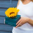 Bloom in a Box: A simple way to reach out when a bouquet just won’t do