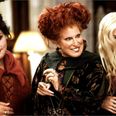 A Hocus Pocus makeup collection has launched and it will cast a spell over you