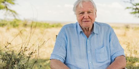 David Attenborough quits Instagram just two months after joining