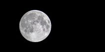 NASA confirms the presence of water on the moon