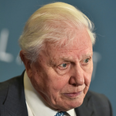 Extinction Rebellion confront David Attenborough at his home after he criticised the group