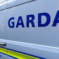 A woman has died following a suspected hit and run in Kildare
