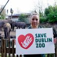 ‘Save Dublin Zoo’ campaign launched amid fears it may have to close its doors