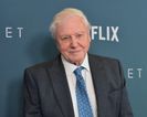 David Attenborough is set to receive a lifetime achievement award