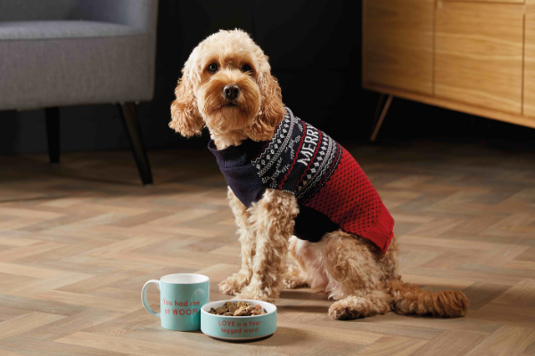 Aldi best sale dog jumper