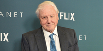 Sir David Attenborough “punched the air” when Donald Trump lost the presidential election