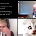 WATCH: Lawyer insists he’s “not a cat” after accidentally using filter on Zoom call