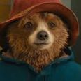 Paddington 3 is officially in the works!