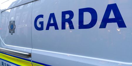 Two elderly men found dead as Gardaí “urgently” search for red van in Cork