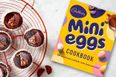 Cadbury has released a Mini Eggs cookbook – and here are the recipes we are dying to try