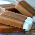 Iced coffee popsicles are how we are planning to start every morning this summer