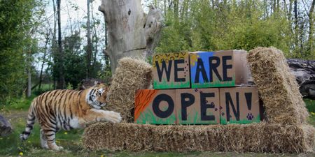 Tayto Park Zoo confirm reopening date this month