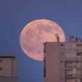 Pink supermoon to be visible from Ireland this week