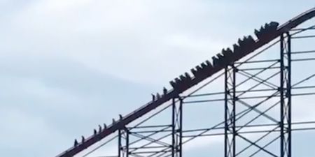Blackpool rollercoaster ‘breaks down near top forcing passengers to walk down’