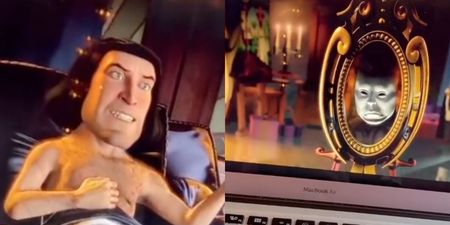 Shrek fan notices X-rated Easter egg that we all missed as kids