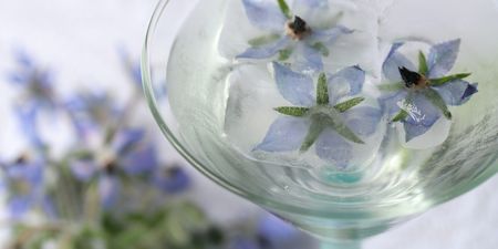 M&S is selling edible flowers now, ideal for your summer cocktails