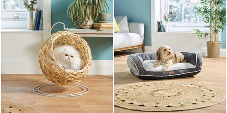 How paw-fect! Check out these eco-friendly pet buys that are coming to Aldi