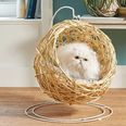 Aldi is selling hanging egg chairs for cats