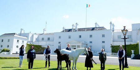 President Higgins welcomes two ponies to live at Áras an Uachtaráin