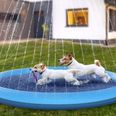 You can now get an outdoor pool with sprinklers for your dog