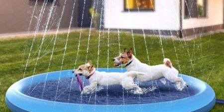 You can now get an outdoor pool with sprinklers for your dog