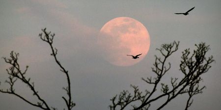 Strawberry Supermoon to be visible in Ireland tonight – and it’s the last one of the year