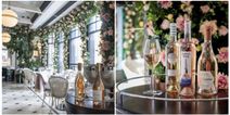 WILDE at The Westbury has just launched the perfect girls’ night out experience